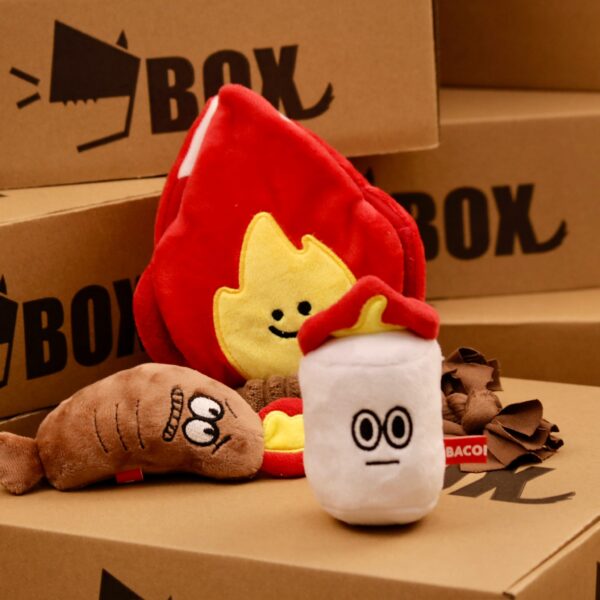 Bacon Box | 營火蔬菜玩具