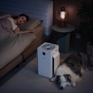 HomeRun D1 Pet Air Purifier寵物浮毛處理機 D1 - Image 2