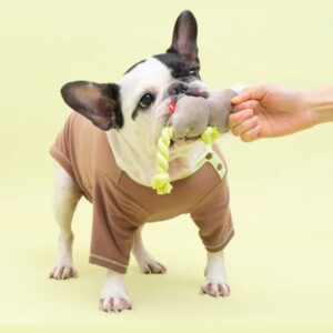 Bacon Box 小樹熊 - Image 2