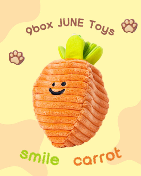 Bacon box smile carrot 藏食玩具